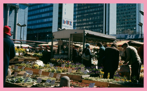 Blommor och människor på torg. Foto.
